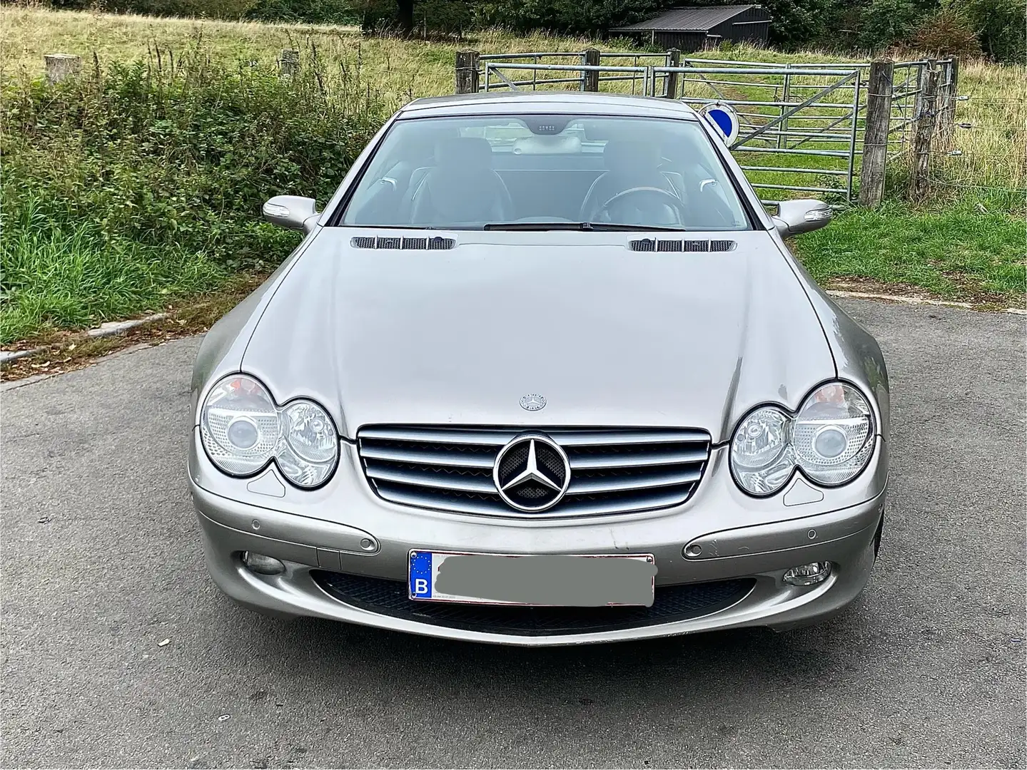 Mercedes-Benz SL 350 SL Roadster 350 Beige - 2