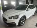 Ford Focus Focus Active SW 1.5 ecoblue s Blanc - thumbnail 8