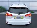 Ford Focus Turnier Trend KLIMA LED Bílá - thumbnail 7