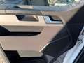 Volkswagen T6 Multivan 4Motion 2.0 TDI ACC KAM NAVI SHZ Blanco - thumbnail 16