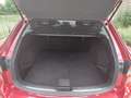 Mazda 6 6 2.0 HP Skylease+ Rood - thumbnail 13