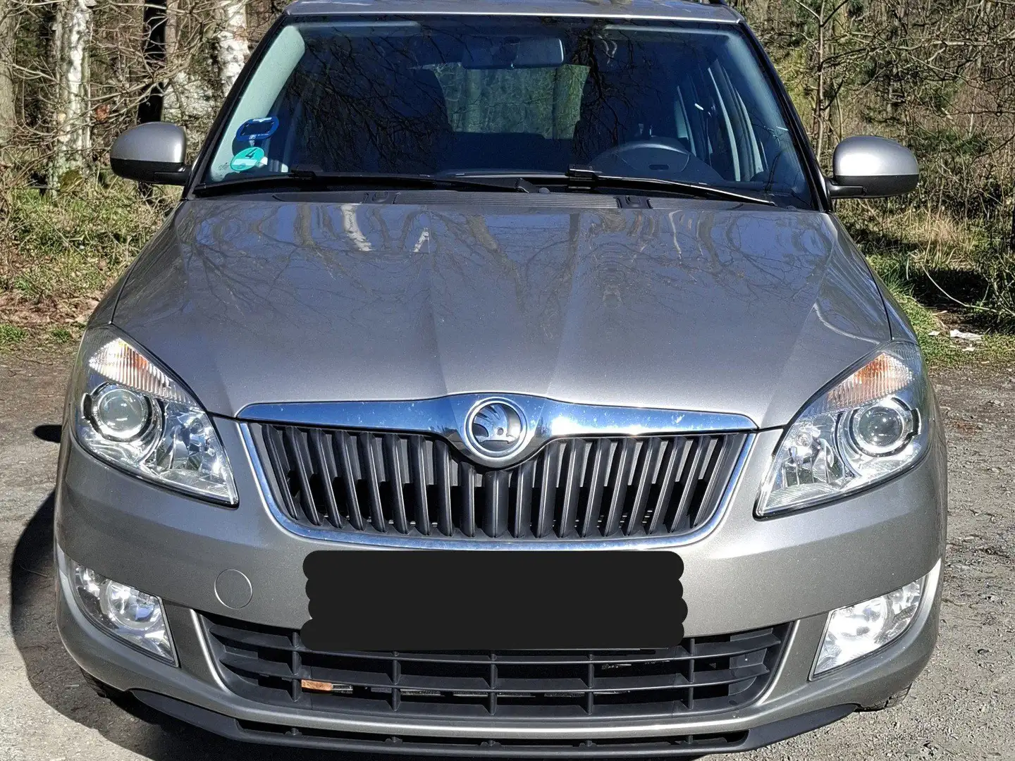 Skoda Fabia Fabia II Combi 1.2 TSI Combi Beige - 1