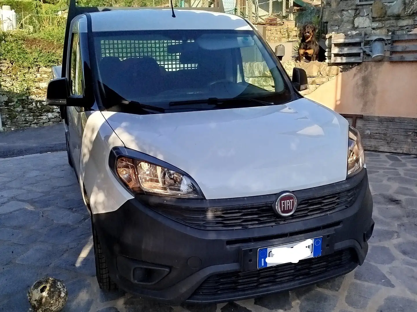 Fiat Doblo Work up 1.6 Multijet 105 cv Blanc - 2