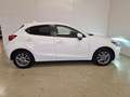 Mazda 2 1.5 e-Skyactiv-G 90 CV M Hybrid Evolve Bianco - thumbnail 3