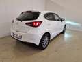 Mazda 2 1.5 e-Skyactiv-G 90 CV M Hybrid Evolve Bianco - thumbnail 4