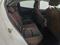 Mazda 2 1.5 e-Skyactiv-G 90 CV M Hybrid Evolve Bianco - thumbnail 7