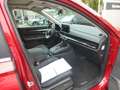 Honda CR-V 2,0 e:HEV Hybrid Advance AWD Rouge - thumbnail 6