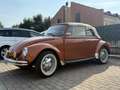 Volkswagen Maggiolino 1303 cabrio kafer fondi nuovi - thumbnail 1