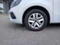 Renault Kangoo KANGOO Equilibre TCe 100 MY24 Weiß - thumbnail 5