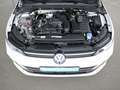 Volkswagen Golf VIII Variant 1.5 TSI Goal Weiß - thumbnail 24