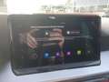 SEAT Ibiza IBIZA FR 1.0 TSI FULL-LINK SITZHEIZ. KAMERA EPH Grau - thumbnail 8