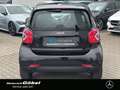 smart forTwo Smart fortwo EQ*JBL*PANO*22kW*LED*CARBON-OPTIK* Schwarz - thumbnail 5