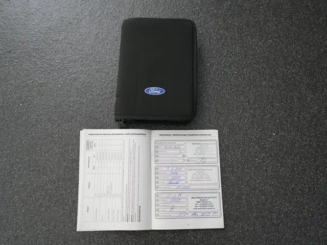 Ford Focus view 14