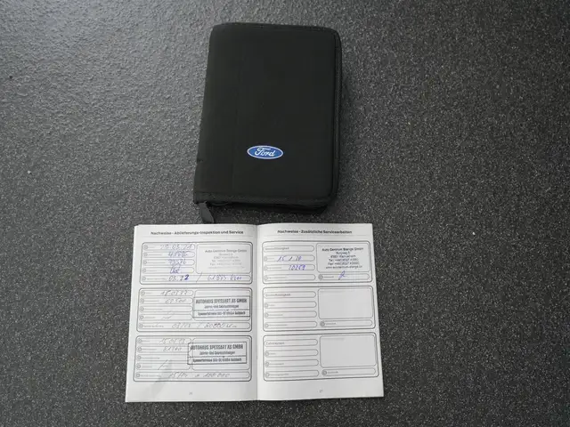 Ford Focus view 15