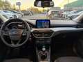 Ford Focus Focus 1.5 EcoBlue 120 CV SW Business Blau - thumbnail 7