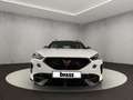 CUPRA Formentor VZ 2.0 TSI 4Drive 7-Gang-DSG Weiß - thumbnail 8