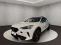 CUPRA Formentor VZ 2.0 TSI 4Drive 7-Gang-DSG Weiß - thumbnail 1