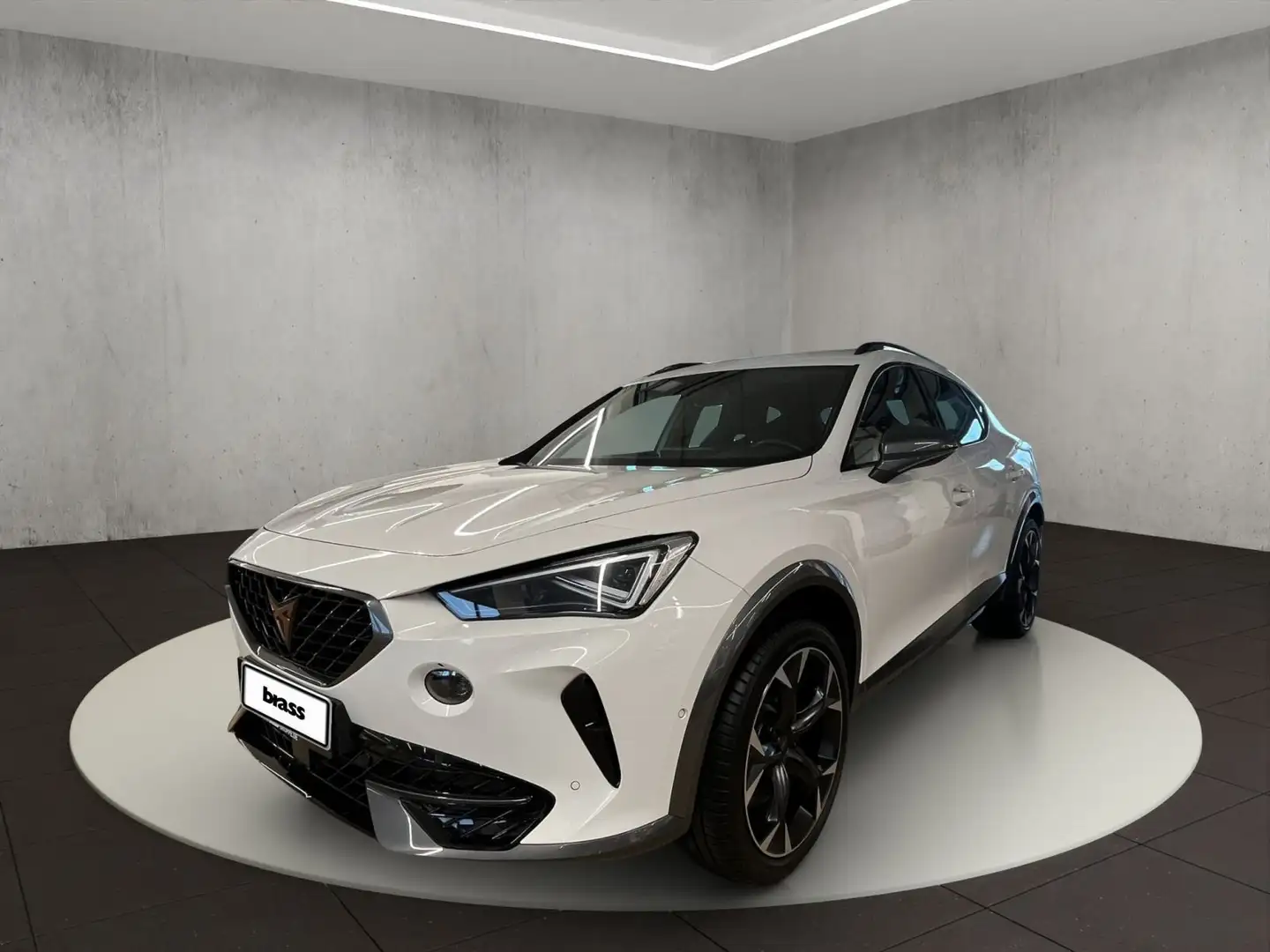 CUPRA Formentor VZ 2.0 TSI 4Drive 7-Gang-DSG Weiß - 1