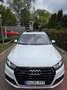 Audi SQ7 4.0 V8 tdi Business Plus quattro tiptronic 7p.ti Weiß - thumbnail 12