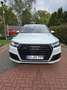 Audi SQ7 4.0 V8 tdi Business Plus quattro tiptronic 7p.ti Weiß - thumbnail 8