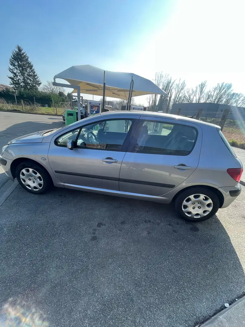 Peugeot 307 307 1.4i XR Argent - 2