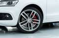 Audi SQ5 I B&O I Pano I Carbon I 2. Hd I BRD Weiß - thumbnail 21