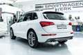 Audi SQ5 I B&O I Pano I Carbon I 2. Hd I BRD Weiß - thumbnail 2