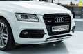 Audi SQ5 I B&O I Pano I Carbon I 2. Hd I BRD Weiß - thumbnail 9