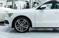 Audi SQ5 I B&O I Pano I Carbon I 2. Hd I BRD Weiß - thumbnail 7
