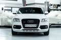 Audi SQ5 I B&O I Pano I Carbon I 2. Hd I BRD Weiß - thumbnail 5