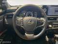 Lexus ES 300 HIBRIDO 300H PREMIUM Gris - thumbnail 9