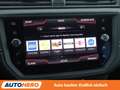 SEAT Ibiza 1.0 TSI XCellence*NAVI*CAM*TEMPO*SHZ* Grau - thumbnail 21