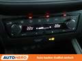 SEAT Ibiza 1.0 TSI XCellence*NAVI*CAM*TEMPO*SHZ* Grau - thumbnail 23
