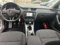 Skoda Octavia Octavia SW 1.0 TSI Ambition Grau - thumbnail 8
