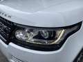 Land Rover Range Rover 4.4SDV8 Autobiography Aut. Blanco - thumbnail 18