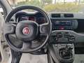 Fiat Panda Fiat Panda 10Benzina Hybrid Clima servo sterzo2022 Bianco - thumbnail 13