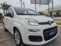 Fiat Panda Fiat Panda 10Benzina Hybrid Clima servo sterzo2022 Bianco - thumbnail 8