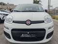 Fiat Panda Fiat Panda 10Benzina Hybrid Clima servo sterzo2022 Bianco - thumbnail 7