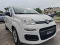 Fiat Panda Fiat Panda 10Benzina Hybrid Clima servo sterzo2022 Bianco - thumbnail 2