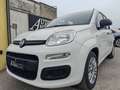 Fiat Panda Fiat Panda 10Benzina Hybrid Clima servo sterzo2022 Bianco - thumbnail 1