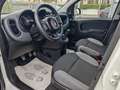 Fiat Panda Fiat Panda 10Benzina Hybrid Clima servo sterzo2022 Bianco - thumbnail 9