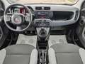 Fiat Panda Fiat Panda 10Benzina Hybrid Clima servo sterzo2022 Bianco - thumbnail 10