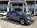 Ford Focus Focus SW 1.5 ecoblue Business s Grigio - thumbnail 2