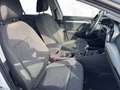 Volkswagen Golf VIII Variant *APP*ACC*PDC*MFL* Blanco - thumbnail 19