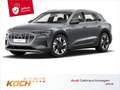 Audi e-tron 55 q., Matrix LED, Pano, ACC, Navi Touch, Grau - thumbnail 1