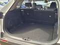 Toyota RAV 4 2.0 VVT-iE Business Plus Automaat Trekhaak Navigat Wit - thumbnail 5