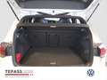 Volkswagen Golf R VIII 2.0l TSI Performance AKRA PANO BLACK Weiß - thumbnail 12