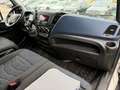 Iveco Sonstige Daily 50C18 0-80 Automatik Kühlkoffer*3,5t Weiß - thumbnail 12