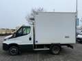 Iveco Sonstige Daily 50C18 0-80 Automatik Kühlkoffer*3,5t Weiß - thumbnail 6