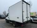 Iveco Sonstige Daily 50C18 0-80 Automatik Kühlkoffer*3,5t Weiß - thumbnail 5
